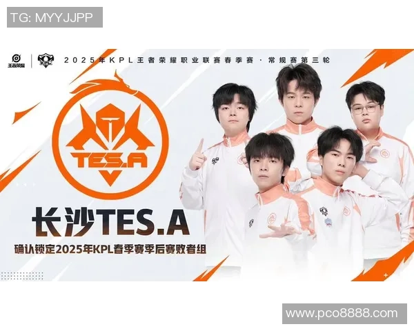 TES战队灵活性引发热议专家分析其战术选择与团队配合问题