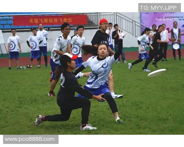 南京飞盘队心理素质排名提升至第五名展现团队实力与潜力