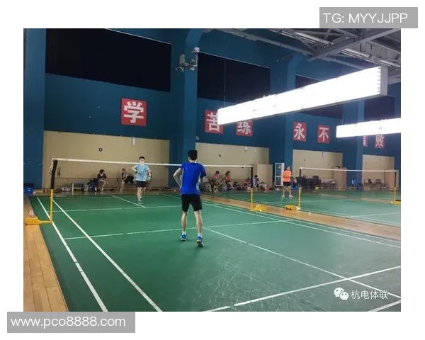 成都羽毛球队实力分析与表现评估:数据背后的秘密与启示 成都羽毛球队实力分析与表现评估:数据背后的秘密与启示