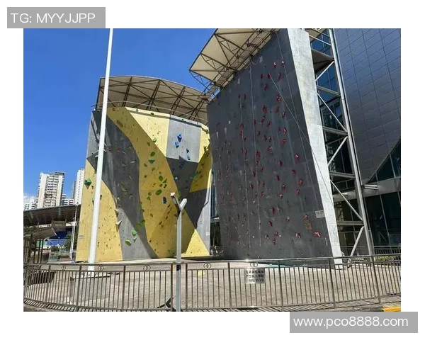 杭州攀岩队状态分析与发展前景探讨聚焦攀岩运动的未来之路 杭州攀岩队状态分析与发展前景探讨聚焦攀岩运动的未来之路