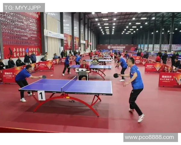 成都乒乓球队的精神风貌与发展历程深度解析 成都乒乓球队的精神风貌与发展历程深度解析