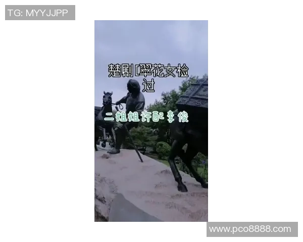 武汉滑板队的阵地战：成败背后的故事与启示