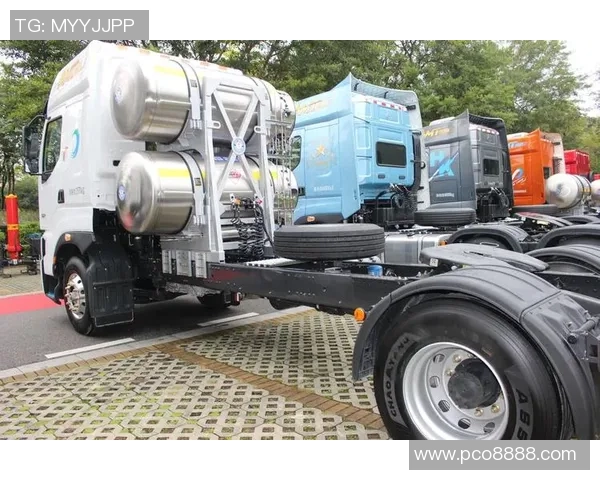 独家解析LNG配合方式的优劣对比与市场前景展望