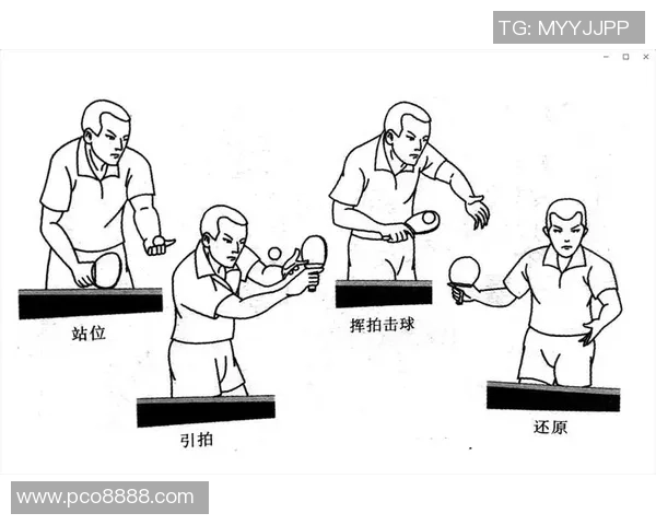 杭州乒乓球队配合表现的数据分析与战术探讨 杭州乒乓球队配合表现的数据分析与战术探讨